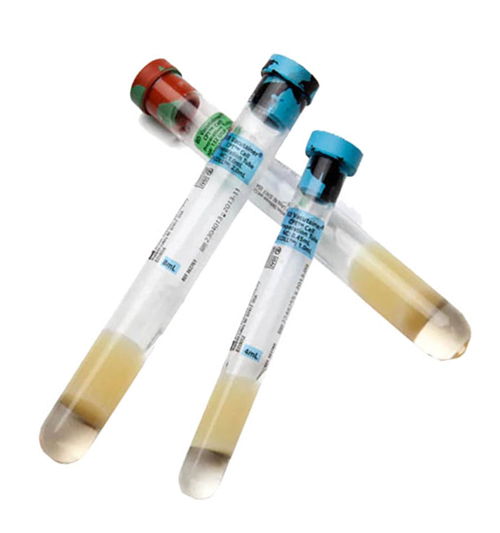   BD Vacutainer CPT (Cell Preparation Tube)  ,       /Ficoll +    :